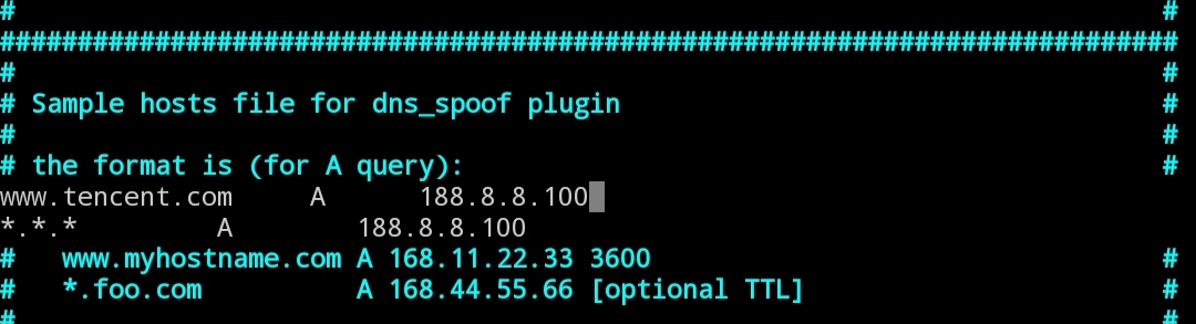 etter.dns.jpg