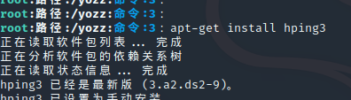 hping3.PNG