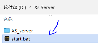 start_xs_server.PNG